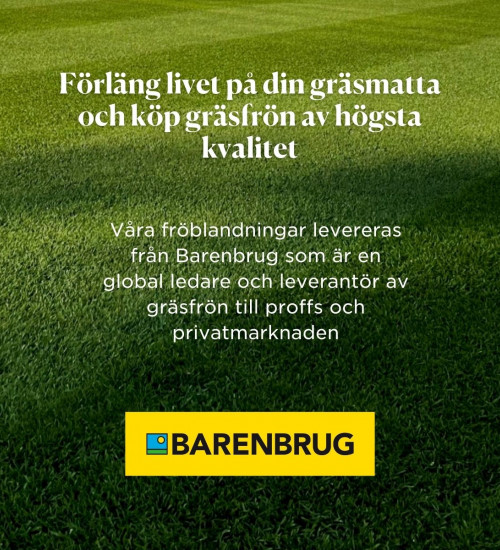 Gräsfrö Bar Intensive RPR rajgräs Barenbrug