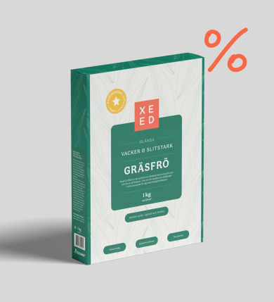 Gräsfrö Glänsa 1 kg